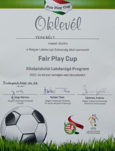 Fair Play Cup