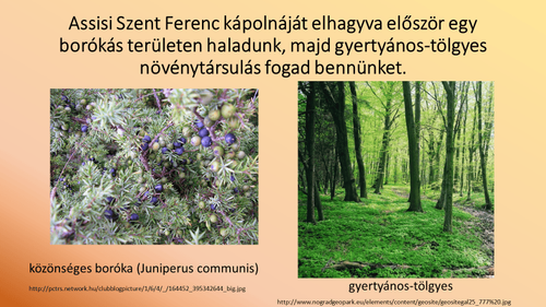Fenntarthatósági témahét képek